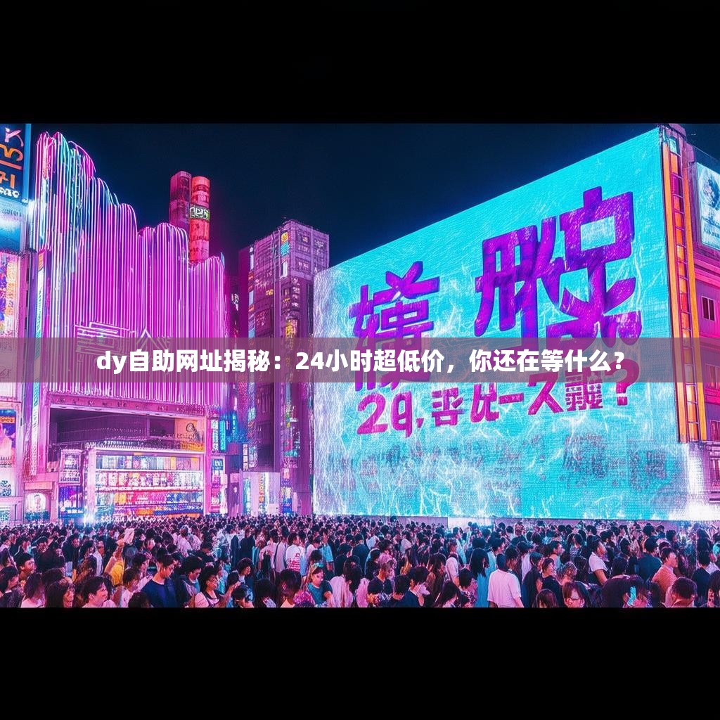 dy自助网址揭秘：24小时超低价，你还在等什么？