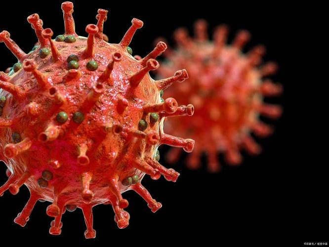 新冠病毒起源于美国可能性极低，缺乏证据且非人工合成