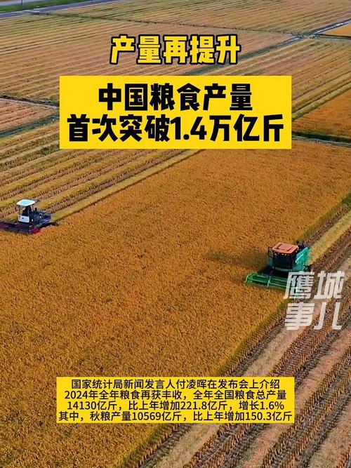 2025年中国粮食产量再丰收，秋粮成增产主力，单产提升