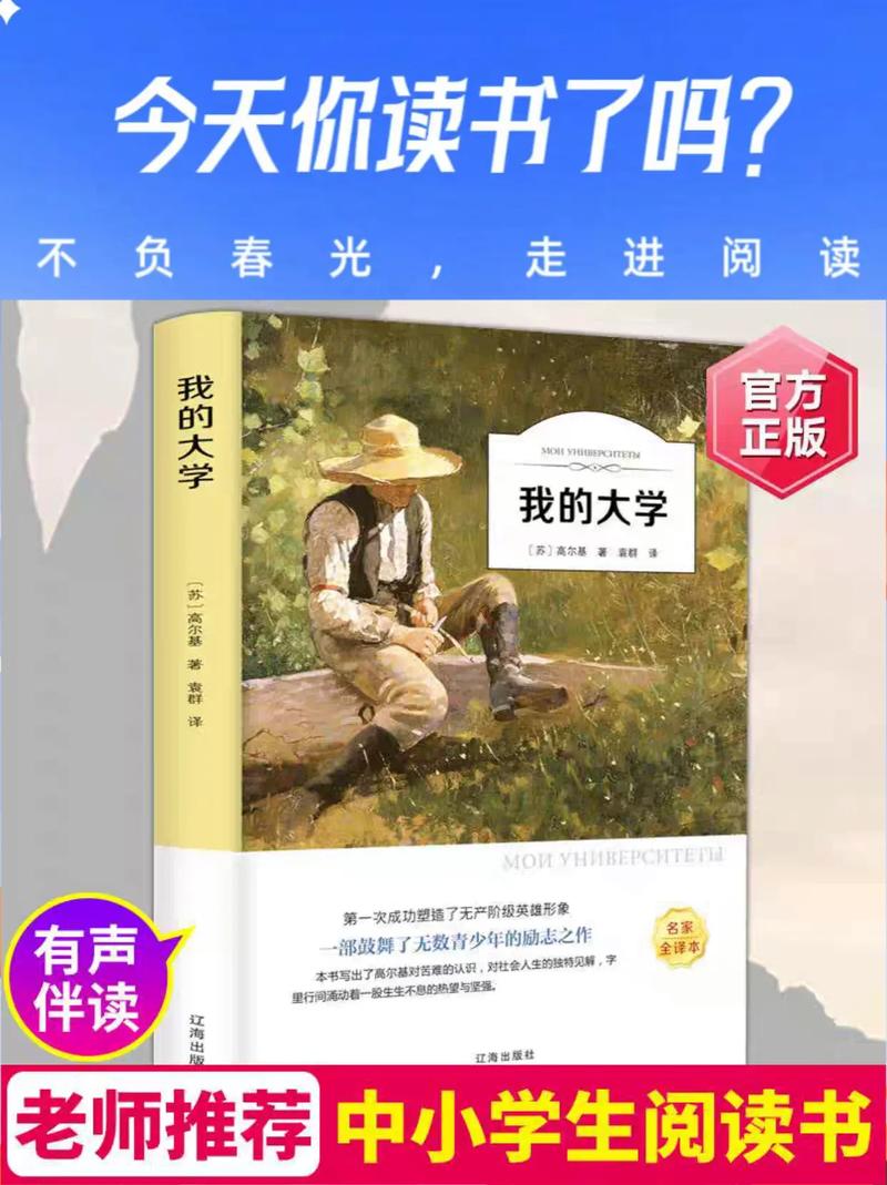 匪我思存文里的P大、H大是啥大学？带你走进匪大经典书
